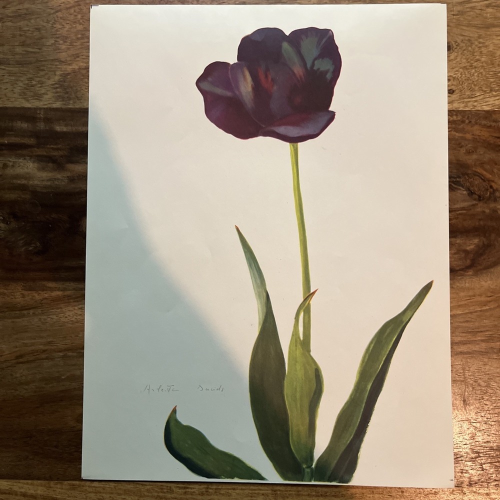 Vintage 1940s Arlette Davids Spring Flowers La Tulipe Noire Tulip Print #10